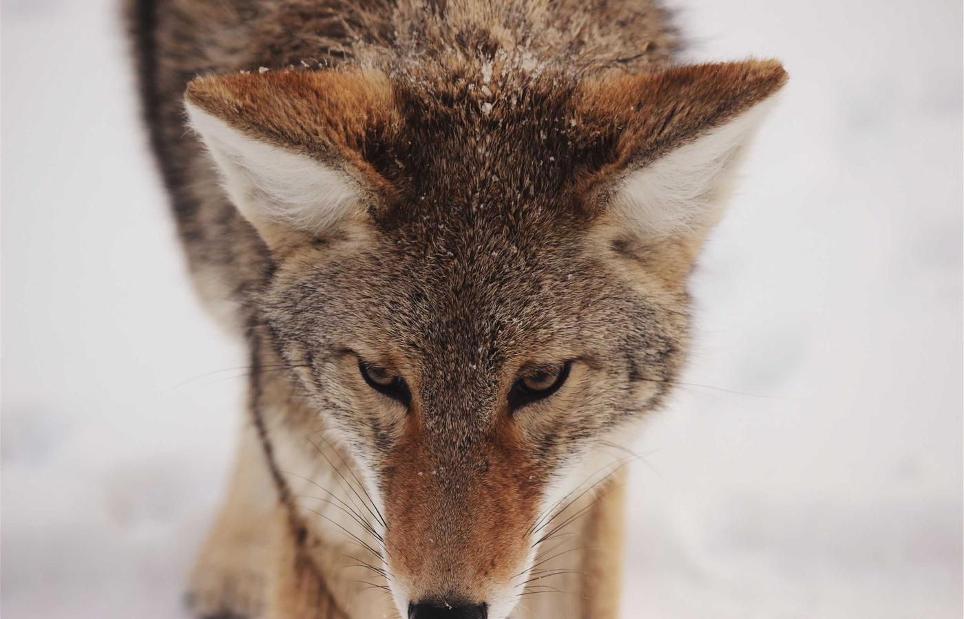 People in a classroom setting