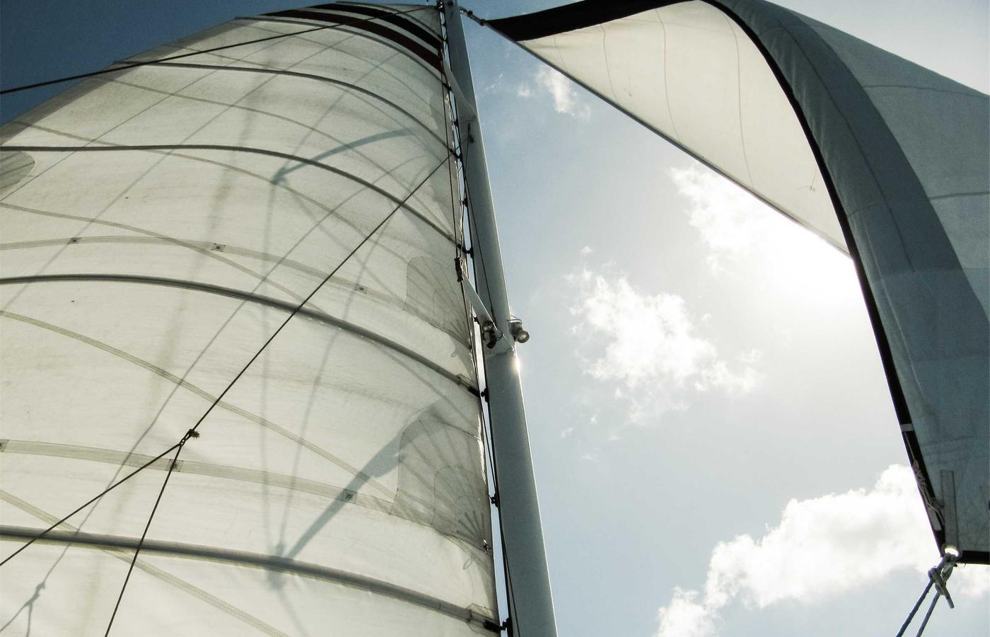 Portrait of team member Johnathan Doe