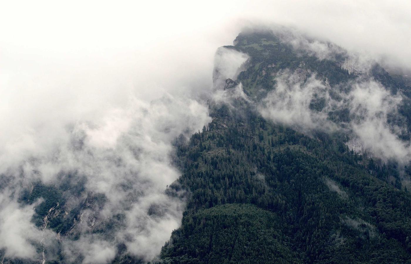 Senior learning on a tablet